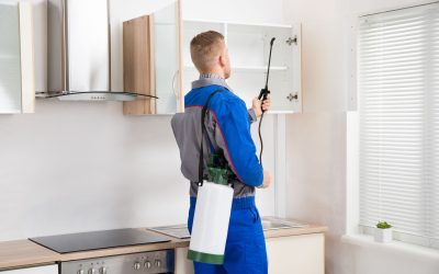 How to Choose Professional Pest Control in Minnesota