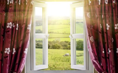 Transform Your Home With The Classic Appeal Of Wood Windows In Baltimore MD