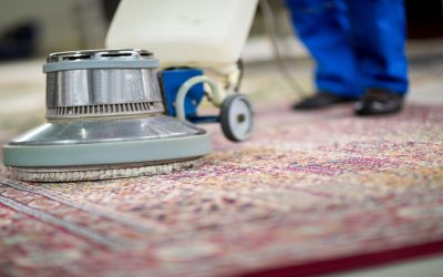 Gain Peace of Mind for Your Home With Professional Mold Testing Near Madison, WI